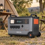 OSCAL PowerMax 6000, en contexto